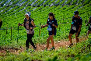 BIB: 
                            <button type="button" onclick="openModal(19164510)" class="btn btn-primary btn-sm float-right btn-popup" data-toggle="modal" data-target=".modal-high-quality">
                        <i class="fas fa-shopping-cart"></i> Add to Cart
                    </button>
                                            <button type="button" onclick="isThisMe(19164510, true)" class="btn btn-success btn-sm float-right btn-popup btn-isme hidden" data-toggle="tooltip" data-placement="bottom" title="นี่คือรูปของคุณใช่ไหม คลิกที่นี่เพื่อเอาเข้าอัลบั้ม">
                        <i class="fas fa-plus"></i> Add to album
                    </button>
                    <button type="button" onclick="isThisMe(19164510, false)" class="btn btn-warning btn-sm float-right btn-popup btn-isnotme hidden">
                        <i class="fas fa-ban"></i> Remove from album
                    </button>